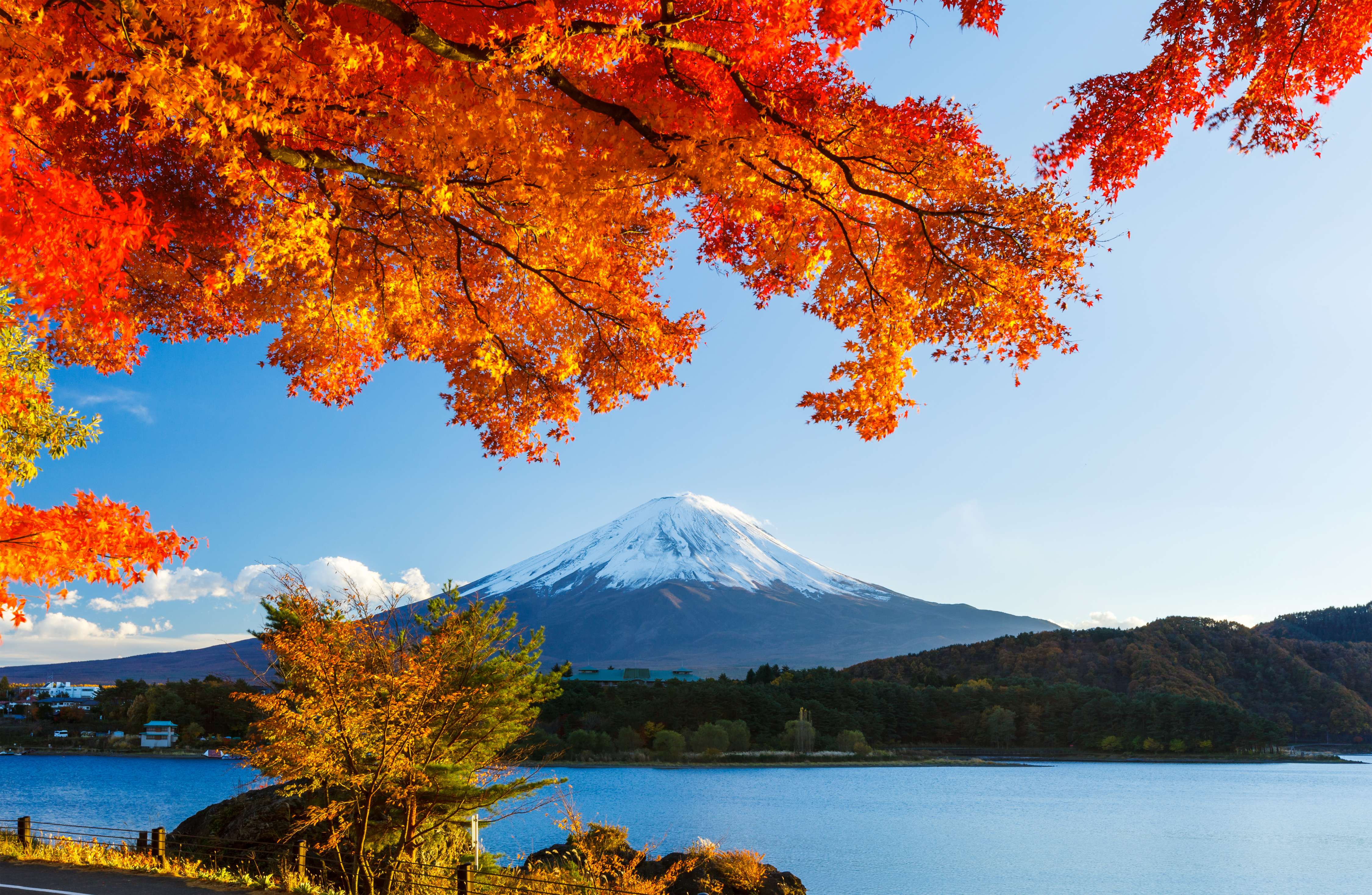 Japan Mount Fuji gelbes meer Kreuzfahrt